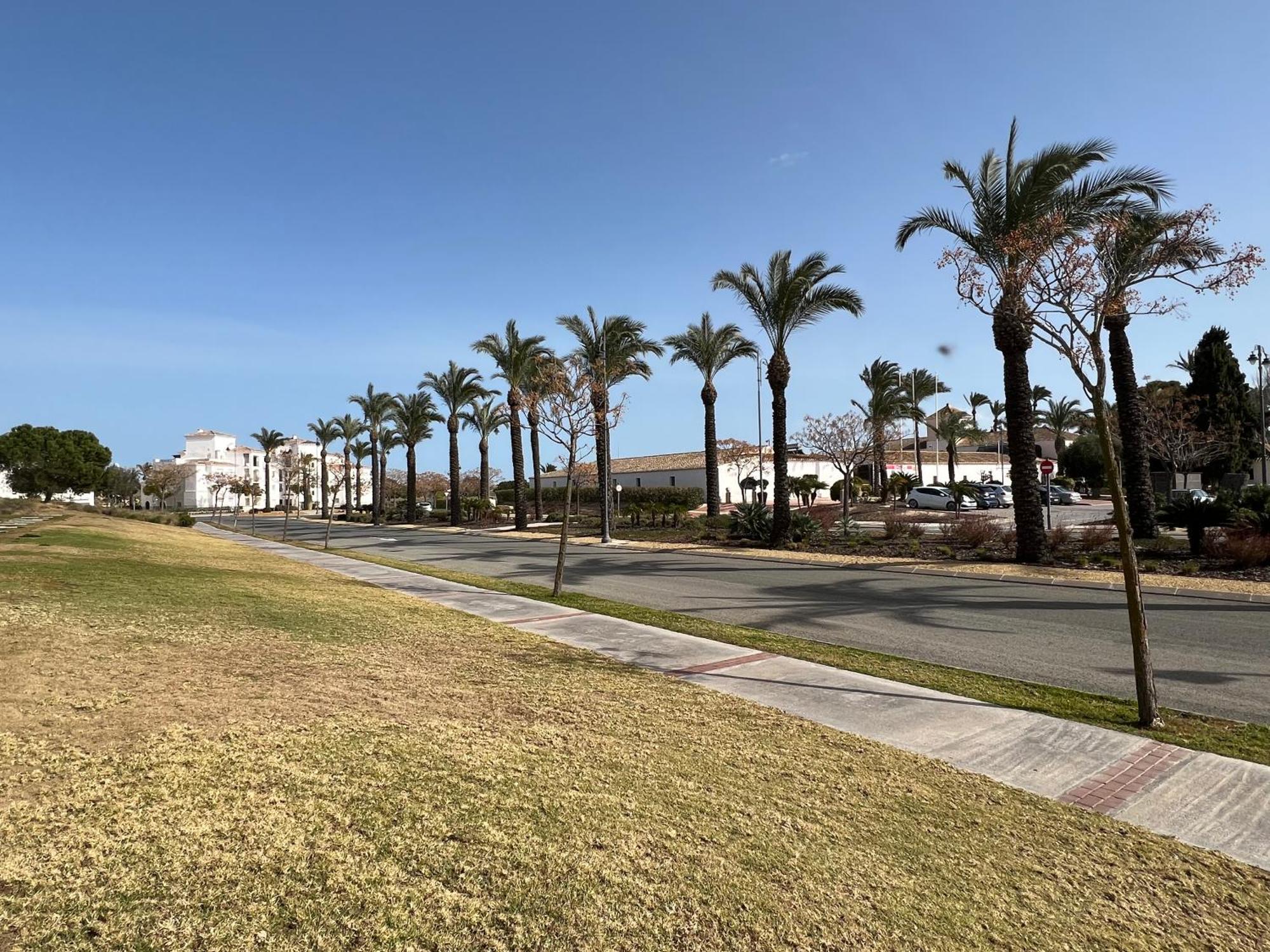 Apartment In Hacienda Riquelme Golf Resort Sucina Esterno foto